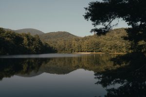 How Peachtree City’s Unique Environment Supports Mental Wellness